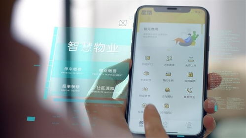 中國物業(yè)管理行業(yè) 市場(chǎng)規(guī)模與大數(shù)據(jù)的剖析下的發(fā)展前景展望